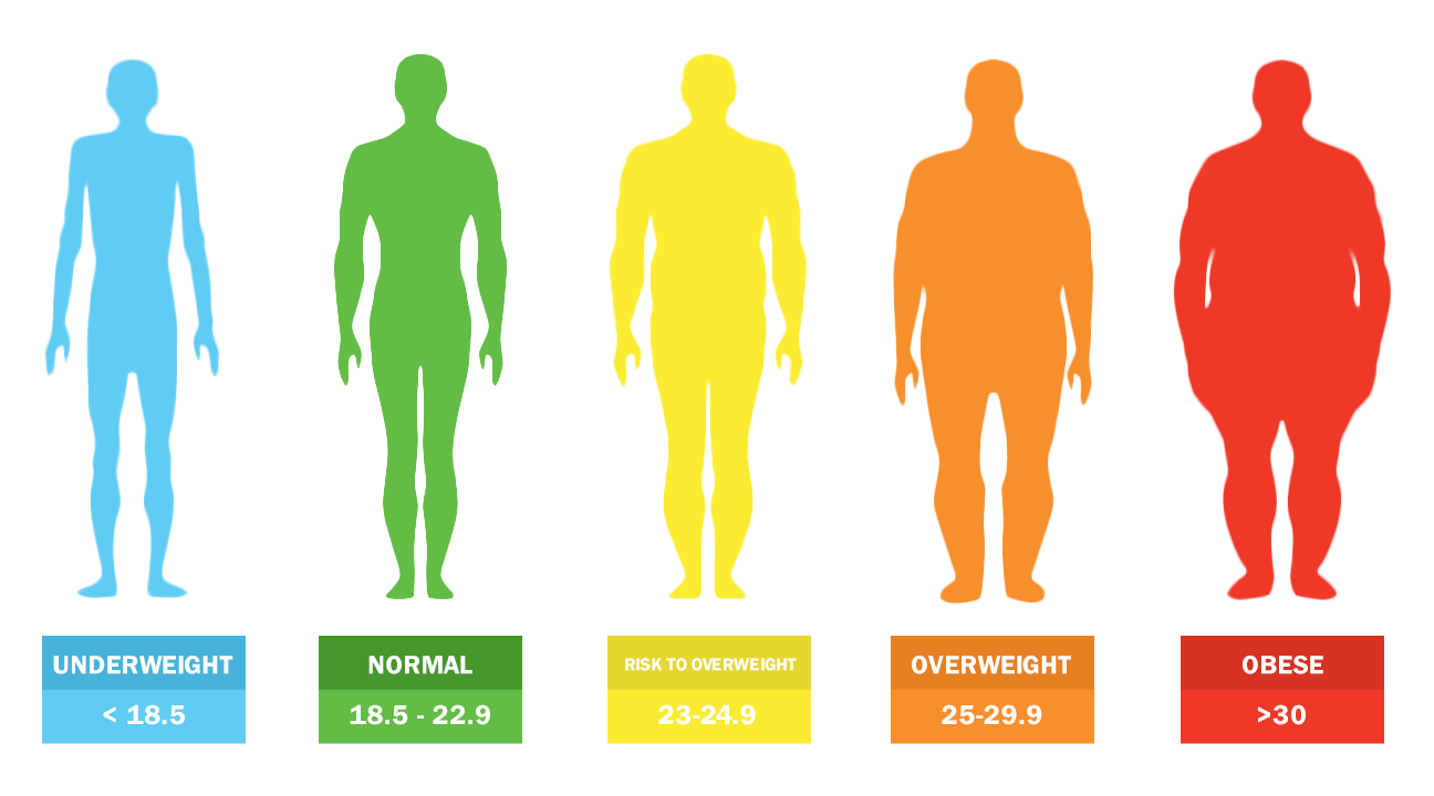 bmi-nutrition-division